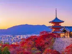 京都